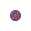 eb