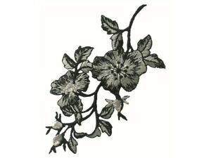 Blumenornament schwarz/grau