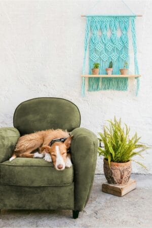 DMC  Nova Vita Recycled Cotton – Bild 3