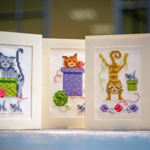 Grußkartenpackung verspielte Katzen